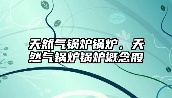 天然氣鍋爐鍋爐，天然氣鍋爐鍋爐概念股