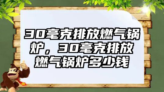 30毫克排放燃?xì)忮仩t，30毫克排放燃?xì)忮仩t多少錢(qián)