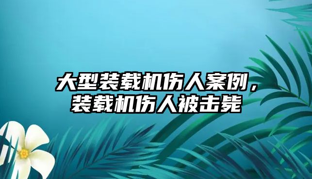 大型裝載機傷人案例，裝載機傷人被擊斃