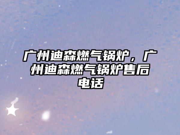 廣州迪森燃?xì)忮仩t，廣州迪森燃?xì)忮仩t售后電話