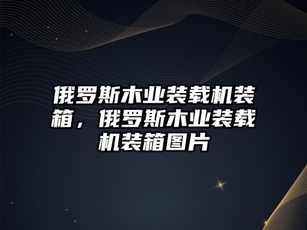 俄羅斯木業(yè)裝載機裝箱，俄羅斯木業(yè)裝載機裝箱圖片