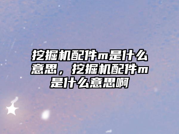 挖掘機配件m是什么意思，挖掘機配件m是什么意思啊