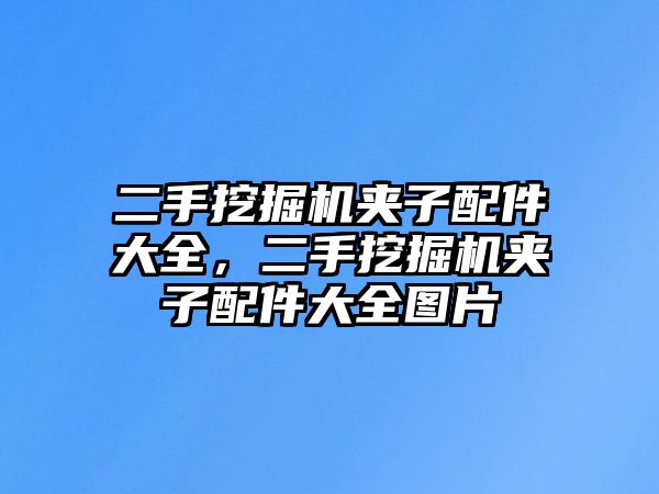 二手挖掘機夾子配件大全，二手挖掘機夾子配件大全圖片