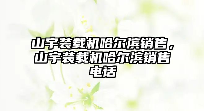 山宇裝載機哈爾濱銷售，山宇裝載機哈爾濱銷售電話