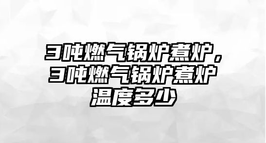 3噸燃?xì)忮仩t煮爐，3噸燃?xì)忮仩t煮爐溫度多少