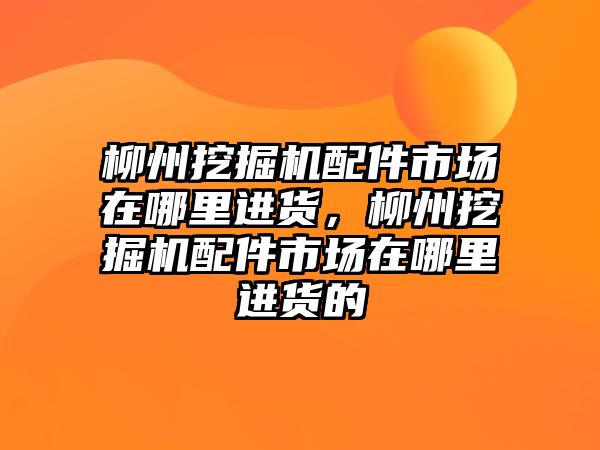 柳州挖掘機配件市場在哪里進貨，柳州挖掘機配件市場在哪里進貨的