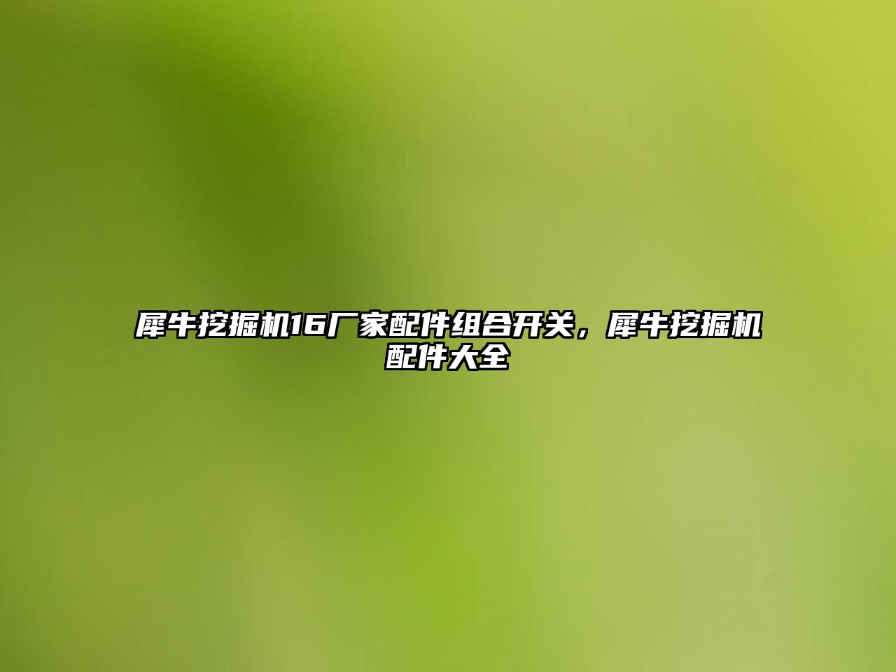 犀牛挖掘機16廠家配件組合開關，犀牛挖掘機配件大全