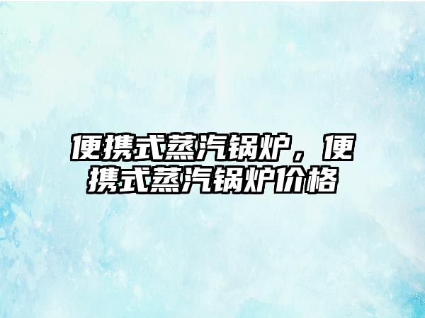 便攜式蒸汽鍋爐，便攜式蒸汽鍋爐價格