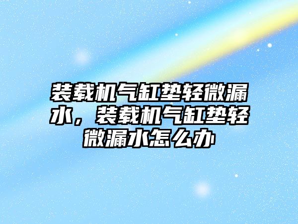 裝載機氣缸墊輕微漏水，裝載機氣缸墊輕微漏水怎么辦