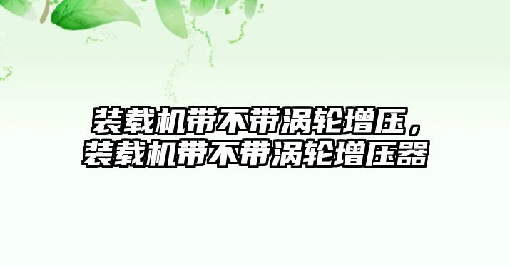 裝載機(jī)帶不帶渦輪增壓，裝載機(jī)帶不帶渦輪增壓器