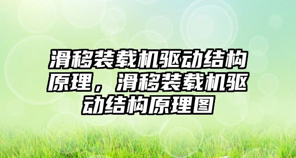 滑移裝載機驅(qū)動結(jié)構(gòu)原理，滑移裝載機驅(qū)動結(jié)構(gòu)原理圖