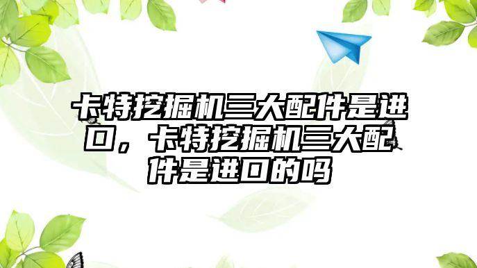 卡特挖掘機三大配件是進口，卡特挖掘機三大配件是進口的嗎