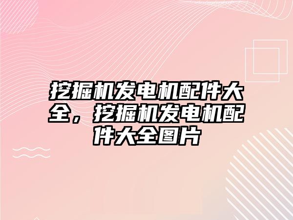 挖掘機發(fā)電機配件大全，挖掘機發(fā)電機配件大全圖片