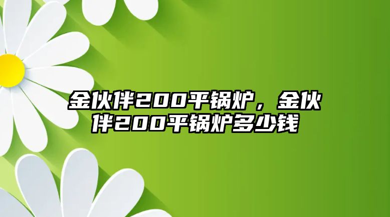 金伙伴200平鍋爐，金伙伴200平鍋爐多少錢