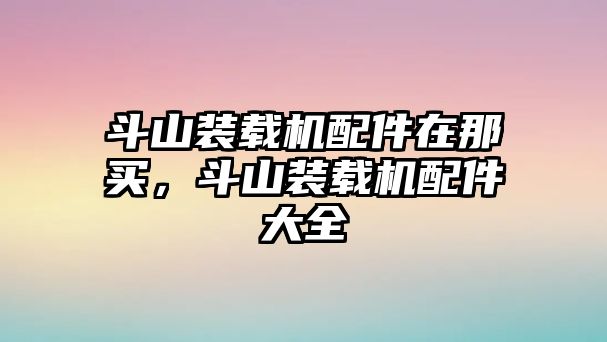 斗山裝載機配件在那買，斗山裝載機配件大全