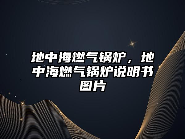 地中海燃?xì)忮仩t，地中海燃?xì)忮仩t說明書圖片