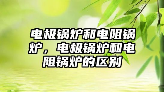 電極鍋爐和電阻鍋爐，電極鍋爐和電阻鍋爐的區(qū)別