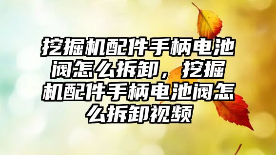 挖掘機配件手柄電池閥怎么拆卸，挖掘機配件手柄電池閥怎么拆卸視頻