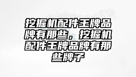 挖掘機配件王牌品牌有那些，挖掘機配件王牌品牌有那些牌子