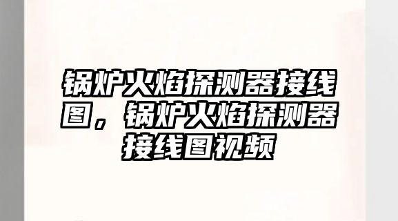 鍋爐火焰探測(cè)器接線圖，鍋爐火焰探測(cè)器接線圖視頻