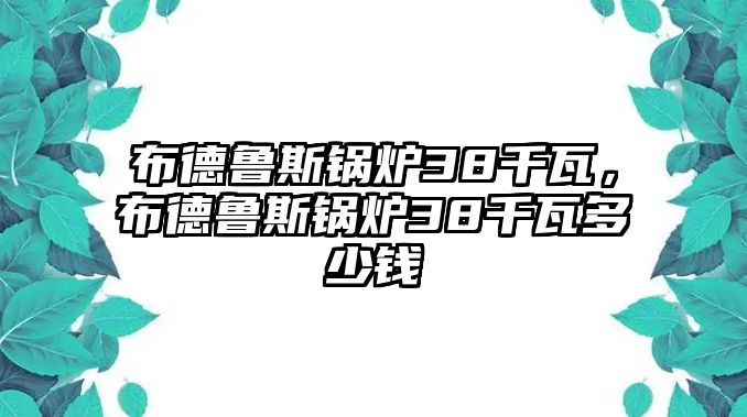 布德魯斯鍋爐38千瓦，布德魯斯鍋爐38千瓦多少錢