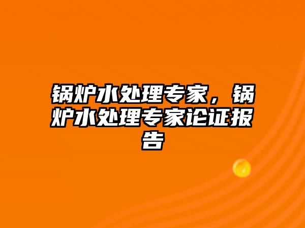 鍋爐水處理專家，鍋爐水處理專家論證報(bào)告