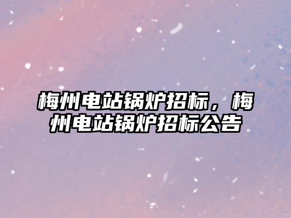 梅州電站鍋爐招標，梅州電站鍋爐招標公告