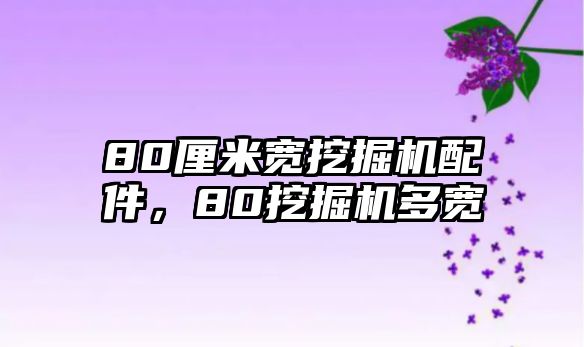 80厘米寬挖掘機配件，80挖掘機多寬