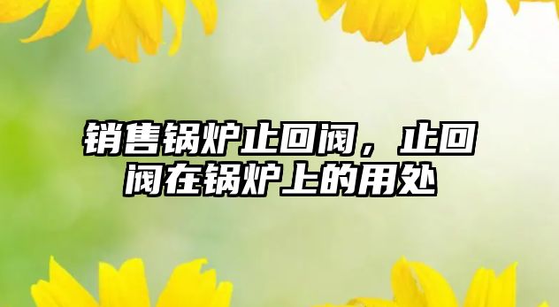 銷售鍋爐止回閥，止回閥在鍋爐上的用處