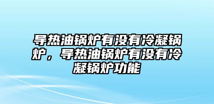 導熱油鍋爐有沒有冷凝鍋爐，導熱油鍋爐有沒有冷凝鍋爐功能