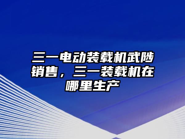 三一電動裝載機(jī)武陟銷售，三一裝載機(jī)在哪里生產(chǎn)