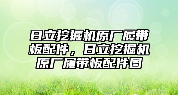 日立挖掘機(jī)原廠履帶板配件，日立挖掘機(jī)原廠履帶板配件圖