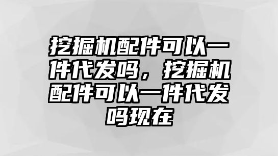 挖掘機配件可以一件代發(fā)嗎，挖掘機配件可以一件代發(fā)嗎現(xiàn)在