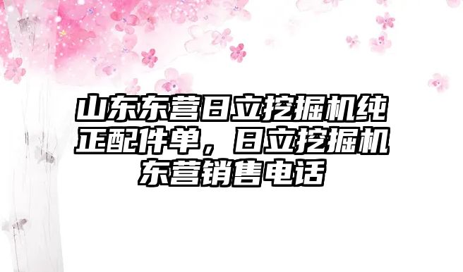 山東東營日立挖掘機純正配件單，日立挖掘機東營銷售電話