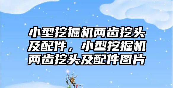 小型挖掘機(jī)兩齒挖頭及配件，小型挖掘機(jī)兩齒挖頭及配件圖片