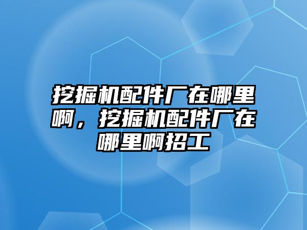 挖掘機(jī)配件廠在哪里啊，挖掘機(jī)配件廠在哪里啊招工