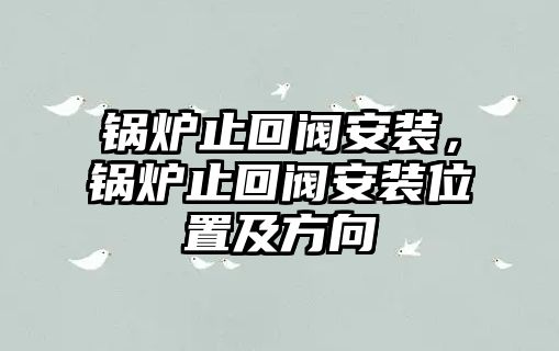 鍋爐止回閥安裝，鍋爐止回閥安裝位置及方向