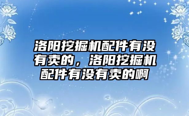 洛陽挖掘機配件有沒有賣的，洛陽挖掘機配件有沒有賣的啊