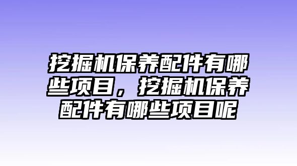 挖掘機(jī)保養(yǎng)配件有哪些項目，挖掘機(jī)保養(yǎng)配件有哪些項目呢