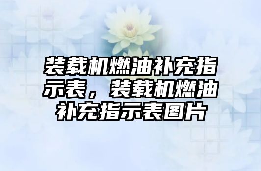 裝載機(jī)燃油補(bǔ)充指示表，裝載機(jī)燃油補(bǔ)充指示表圖片