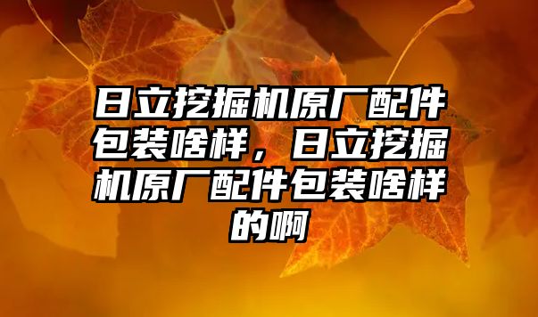 日立挖掘機原廠配件包裝啥樣，日立挖掘機原廠配件包裝啥樣的啊