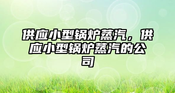 供應小型鍋爐蒸汽，供應小型鍋爐蒸汽的公司