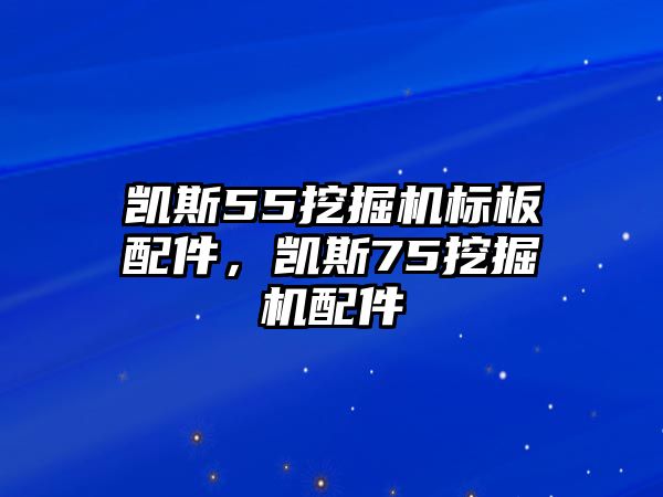 凱斯55挖掘機標板配件，凱斯75挖掘機配件