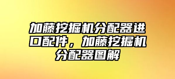 加藤挖掘機分配器進(jìn)口配件，加藤挖掘機分配器圖解