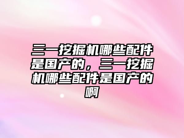 三一挖掘機哪些配件是國產的，三一挖掘機哪些配件是國產的啊