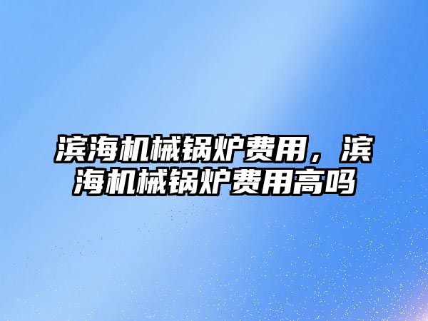 濱海機械鍋爐費用，濱海機械鍋爐費用高嗎