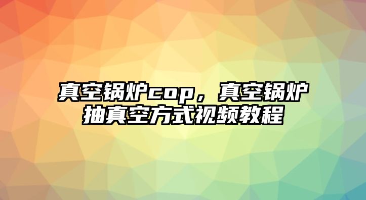 真空鍋爐cop，真空鍋爐抽真空方式視頻教程