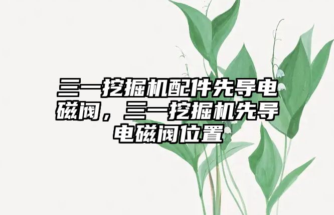 三一挖掘機配件先導電磁閥，三一挖掘機先導電磁閥位置