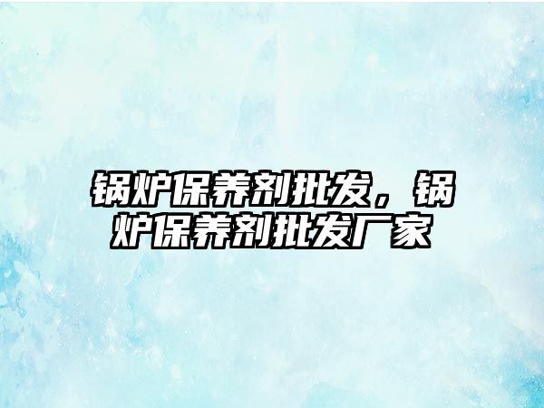 鍋爐保養(yǎng)劑批發(fā)，鍋爐保養(yǎng)劑批發(fā)廠家