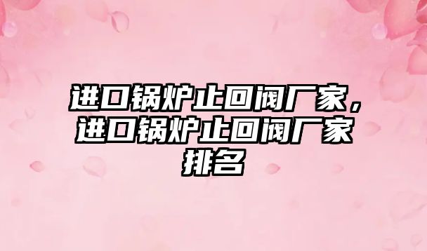 進(jìn)口鍋爐止回閥廠家，進(jìn)口鍋爐止回閥廠家排名